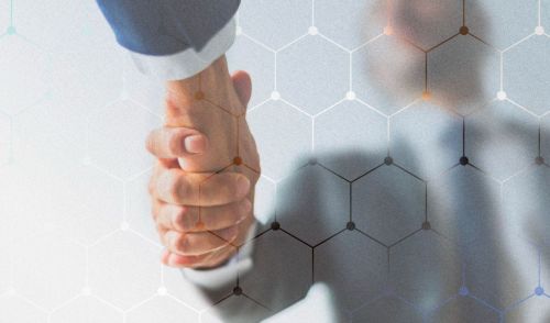 immagine della notizia